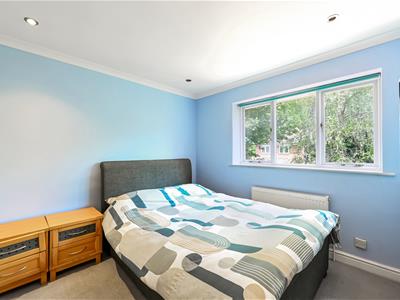 Picture 9